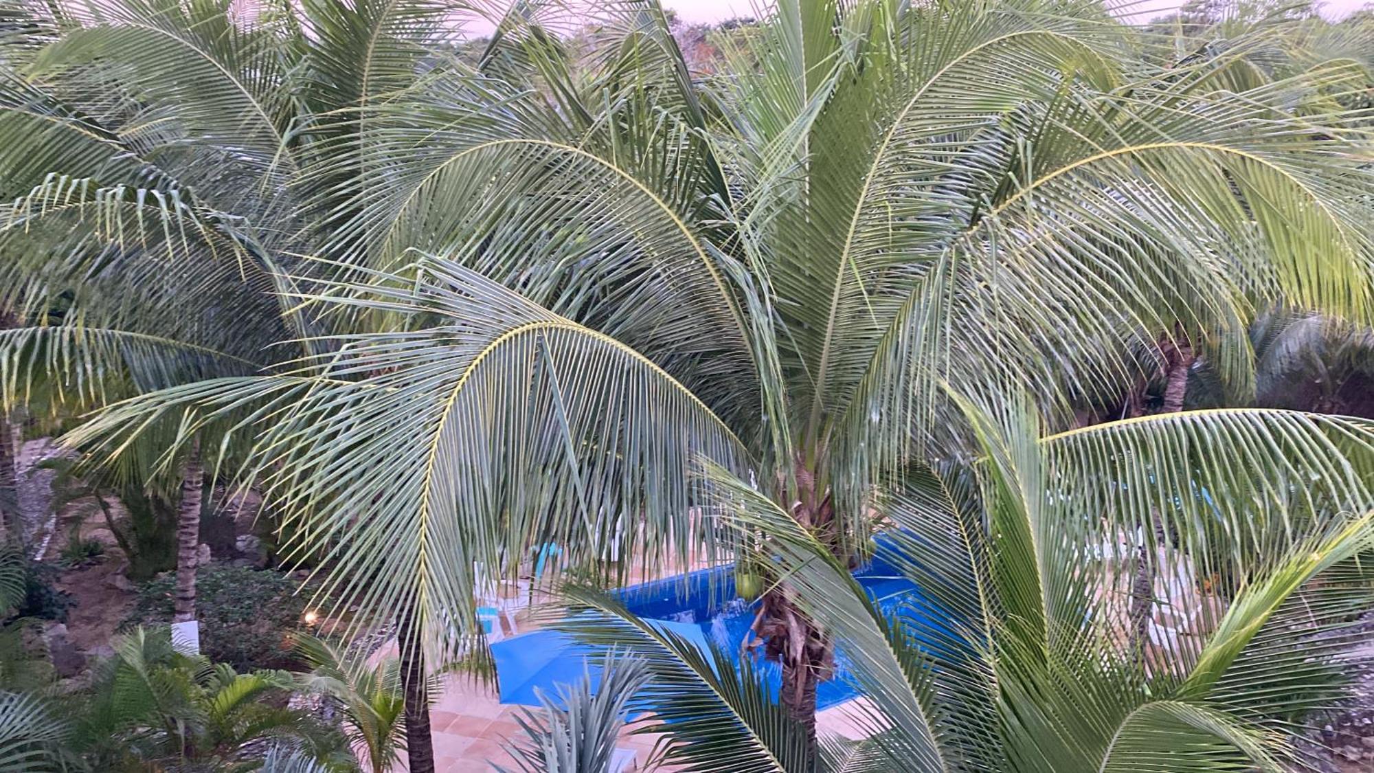 Villa Tortugas Акумал Екстериор снимка