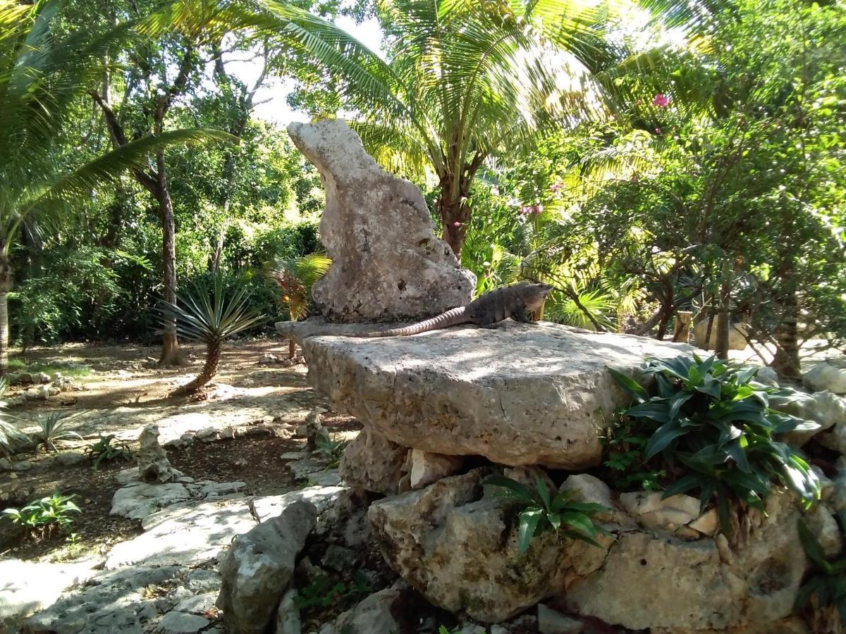 Villa Tortugas Акумал Екстериор снимка